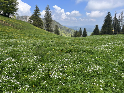 23-05-26 13-28-28 5700